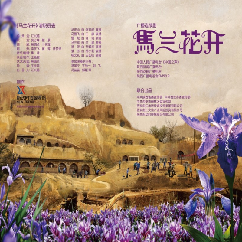广播剧-《马兰花开》